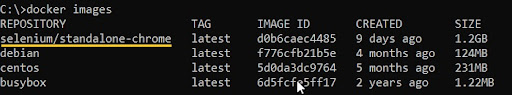 Selenium Tests on Docker Selenium Tests on Docker