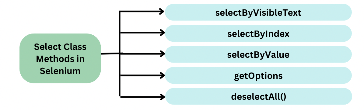 Select Class Methods in Selenium Select Class Methods in Selenium