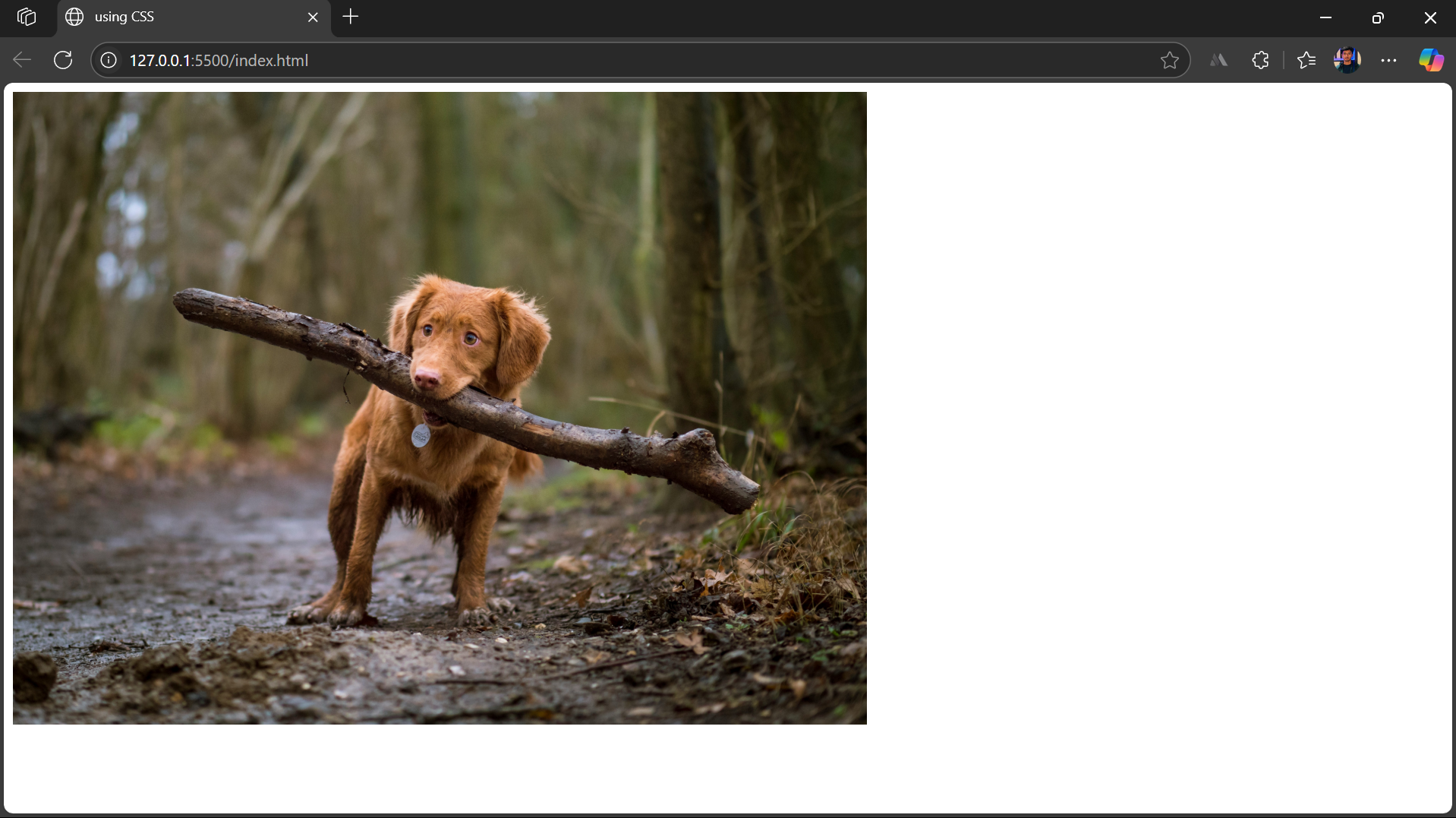 Inline CSS Inline CSS