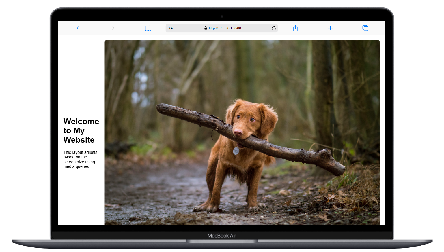 responsive desktop responsive desktop