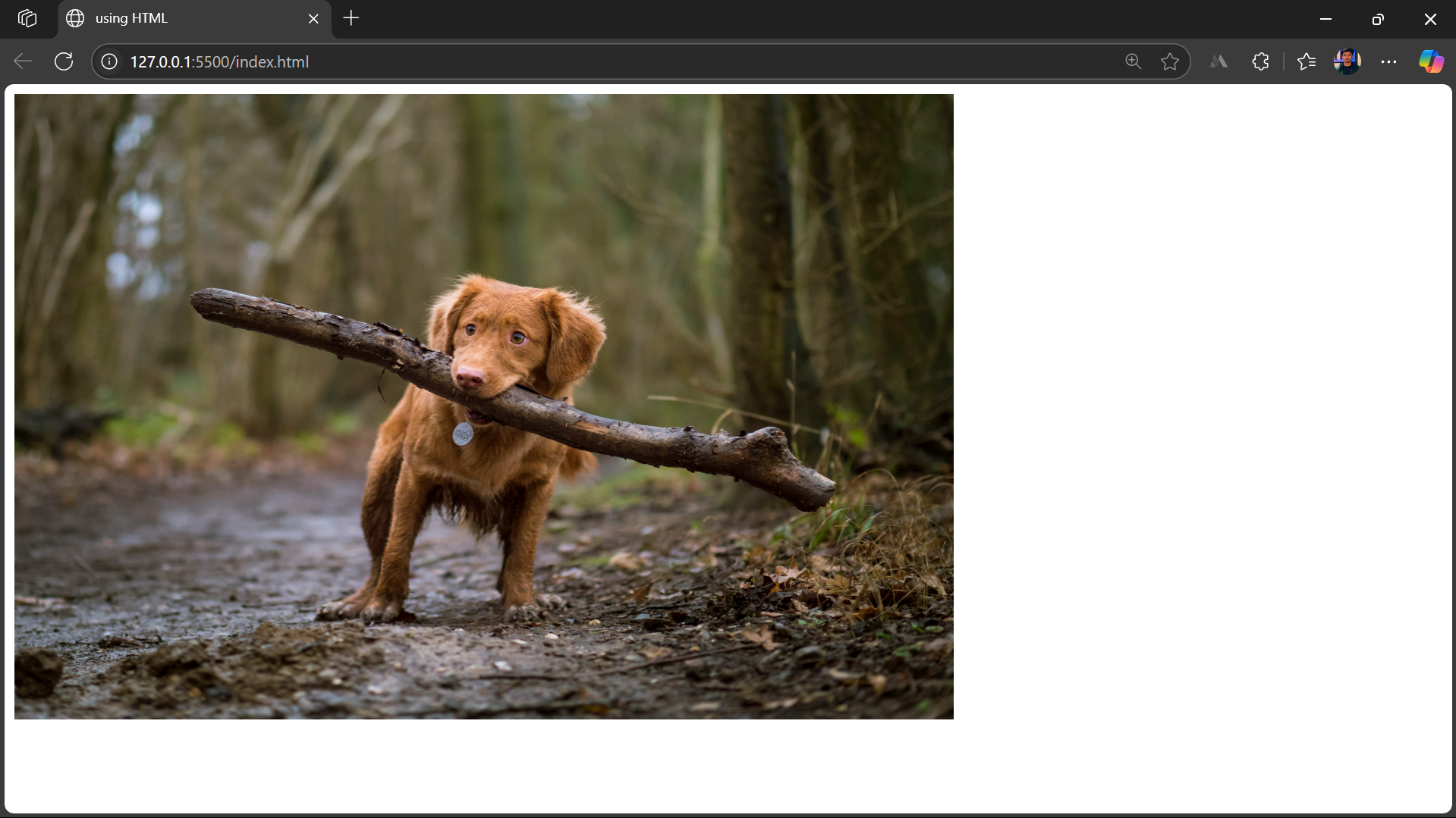 using HTML using HTML
